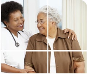 Image for Bayshore Home Health with ID of: 4200137