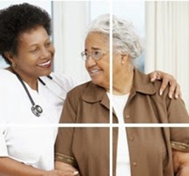 Image for Bayshore Home Health with ID of: 4200494
