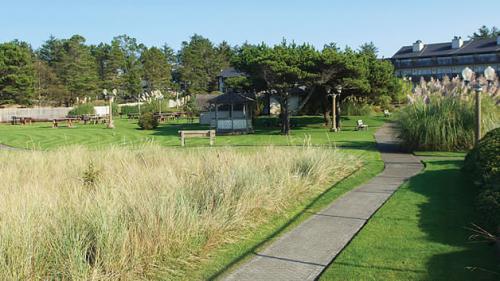 Image for Free by the Sea with ID of: 4202050