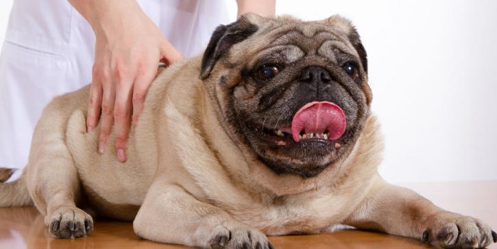 Image for Laser's Edge Chiropractic with ID of: 4202197