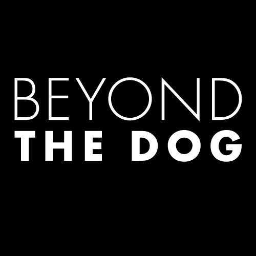 Image for Beyond the Dog - Austin, LLC with ID of: 4207049
