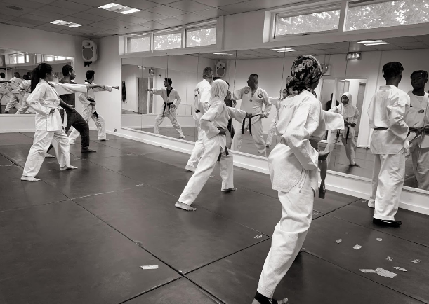 Image for Dujon Taekwondo with ID of: 4211067