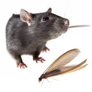 Image for Pacific Pest Control, Inc with ID of: 4214310