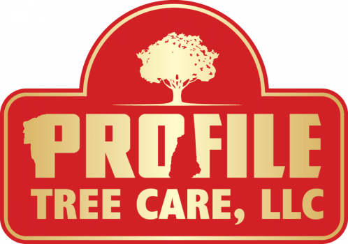 Image for Profile Tree Care with ID of: 4215159