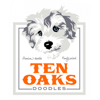 Image for Ten Oaks Doodles with ID of: 4216009