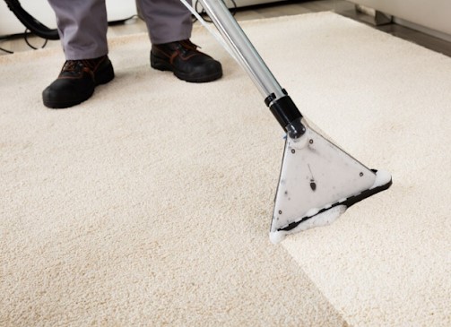 Image for Little Avi’s Building Maintenance Services with ID of: 4216402