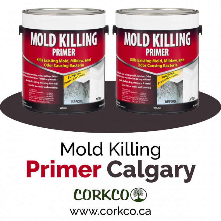 Image for Mold Killing Primer Calgary with ID of: 4216989