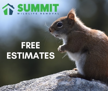 Image for Summit Environmental Solutions with ID of: 4217207