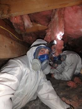 Image for Optimized Inspection Services with ID of: 4217594