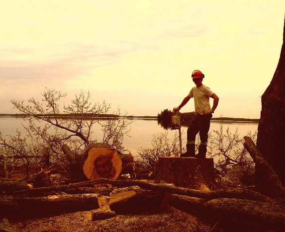 Image for Lafontaine Tree Services with ID of: 4218503