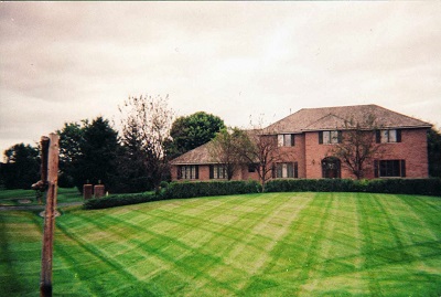 Image for Alex's Lawn & Turf with ID of: 4219897