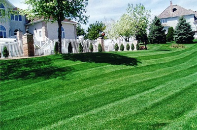 Image for Alex's Lawn & Turf with ID of: 4219898
