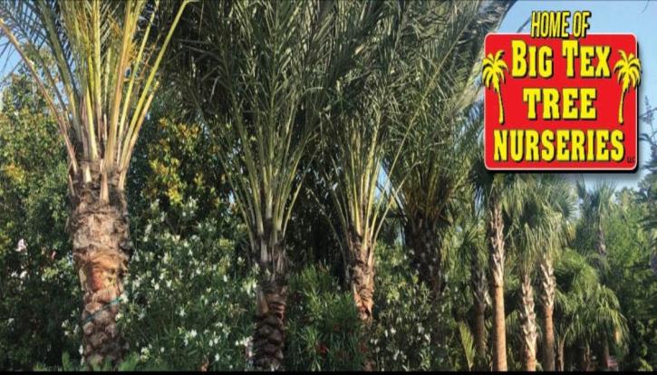 Image for Moon Valley Nurseries with ID of: 4221575