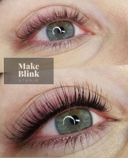 Image for Make Blink Studio with ID of: 4221994