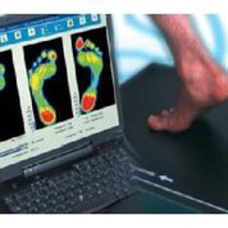 Image for Lakeshore Chiropractic Group with ID of: 4222206