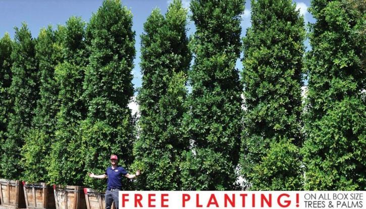 Image for Moon Valley Nurseries with ID of: 4222282