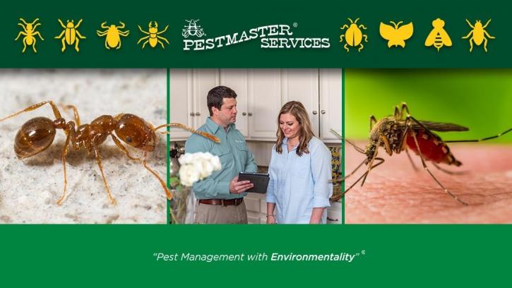 Image for Pestmaster Services with ID of: 4222603