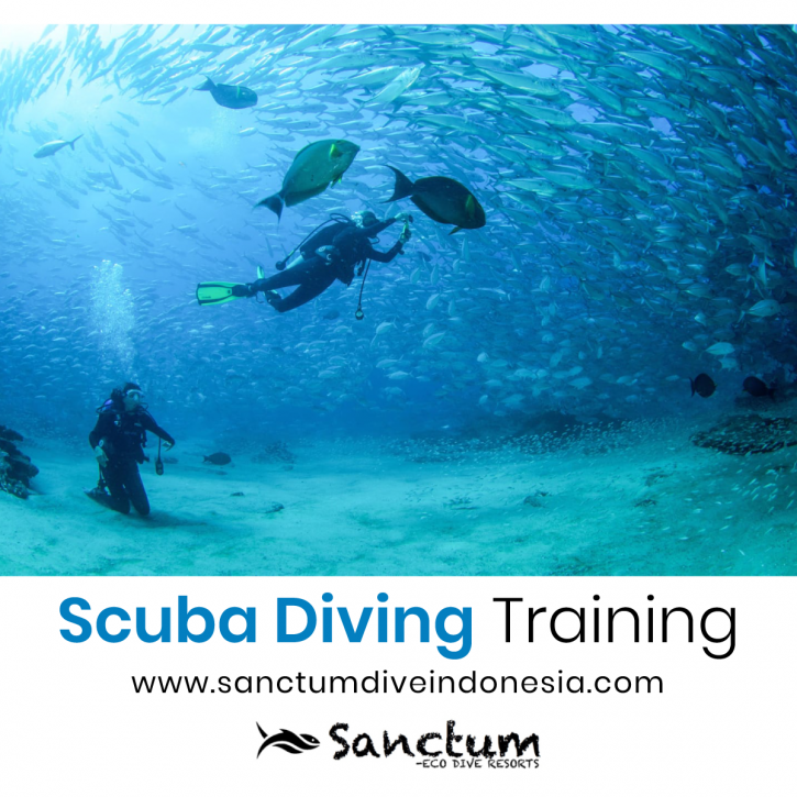 Image for Scuba Diving Training with ID of: 4223717