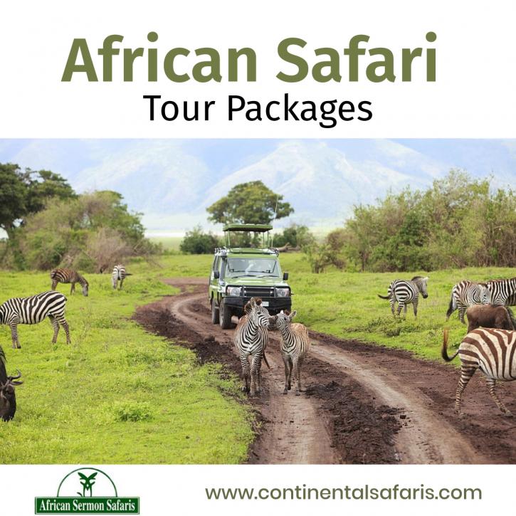 Image for African Safari Tour Packages with ID of: 4223798