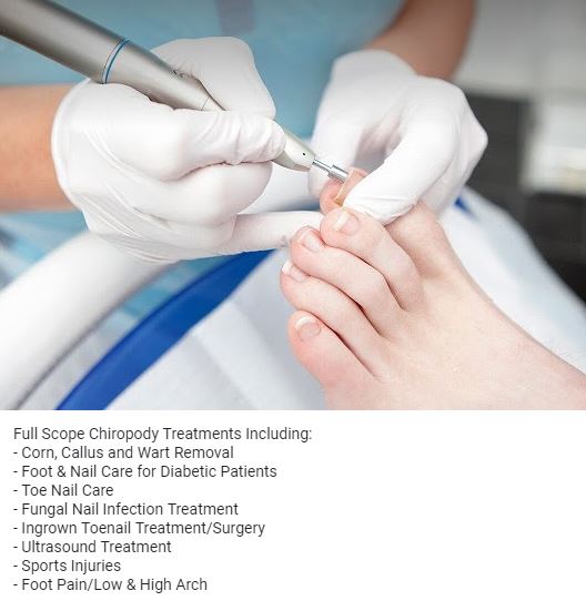 Image for Toronto Ergonomics Centre with ID of: 4226411