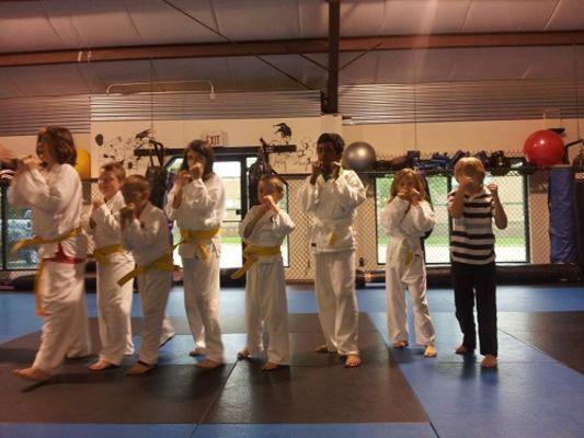 Image for No Joke Mixed Martial Arts with ID of: 4226441