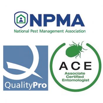 Image for Edge Pest Control and Mosquito Service with ID of: 4230369