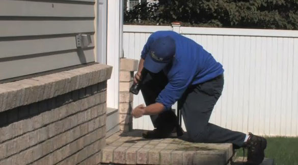 Image for Eliminate 'Em Pest Control Services, LLC with ID of: 4232227