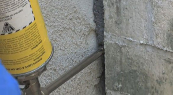 Image for Eliminate 'Em Pest Control Services, LLC with ID of: 4232229