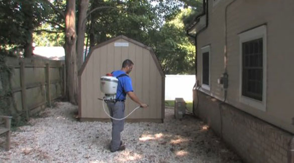 Image for Eliminate 'Em Pest Control Services, LLC with ID of: 4232232