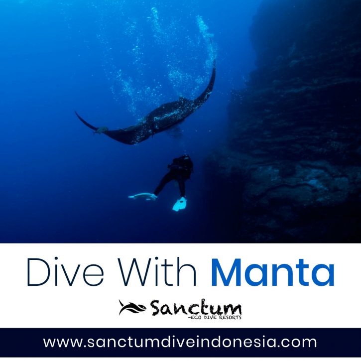 Image for Dive with Manta with ID of: 4233030