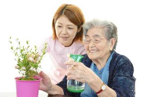Image for Specialized Nursing Services with ID of: 4235158
