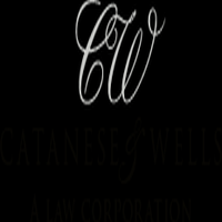 Image for Catanese & Wells with ID of: 4235324