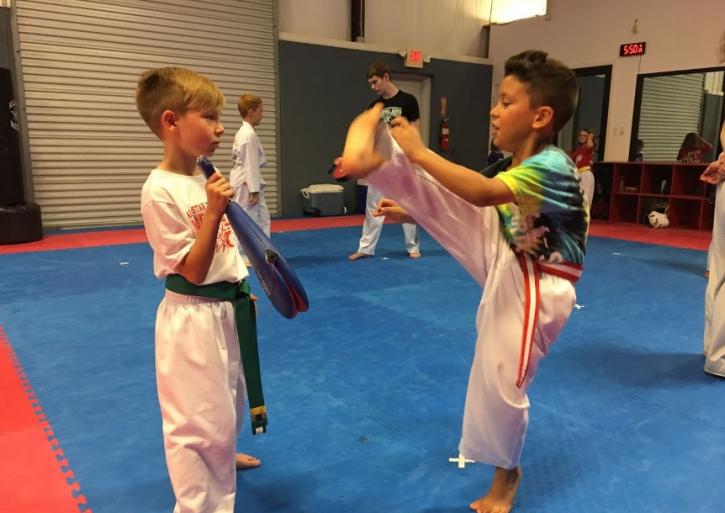 Image for All-Star Martial Arts with ID of: 4236333