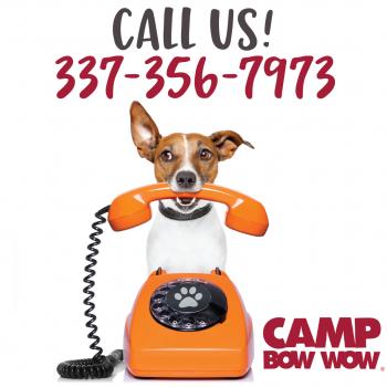 Image for Kip & King Marketing with ID of: 4236449
