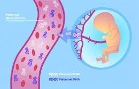 Image for World Non-Invasive Prenatal Testing Devices Market: Market Size,Industry Growth and Forecast Report Till 2023 with ID of: 4236937