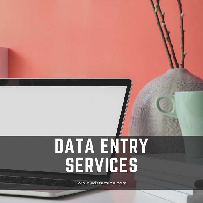 Image for Image Data Entry Services with ID of: 4237430