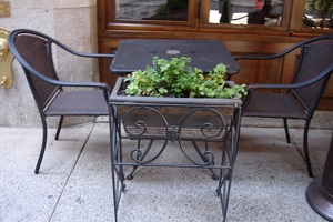Image for Why Interior Plantscaping is Essential for a Livelier Workplace with ID of: 4238261