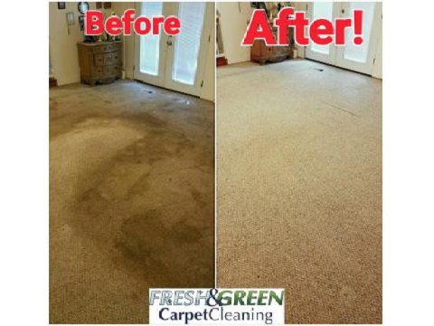 Image for Fresh & Green Carpet Cleaning with ID of: 4239179