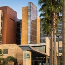 Image for Hamid Djalilian, MD | UCI Head & Neck with ID of: 4240449