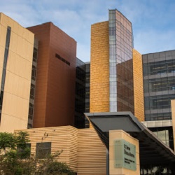 Image for William Armstrong, MD | UCI Head & Neck with ID of: 4240743