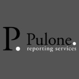Image for Pulone Reporting Services with ID of: 4241096