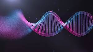 Image for CDR sequencing with ID of: 4241291