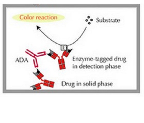 Image for ada immunogenicity testing with ID of: 4243554
