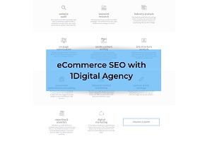 Image for What eCommerce SEO Services Can Do For Your Business with ID of: 4245686