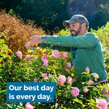 Image for AllGreen Landscape Company with ID of: 4246864