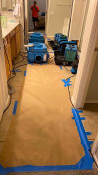 Image for Avondale Water Damage Services with ID of: 4247011