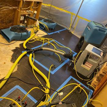 Image for Avondale Water Damage Services with ID of: 4247014