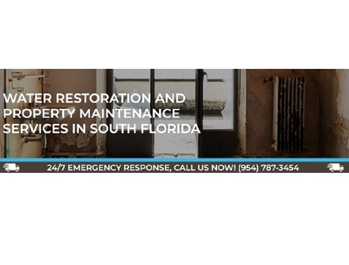 Image for Restoration Maintenance with ID of: 4248003