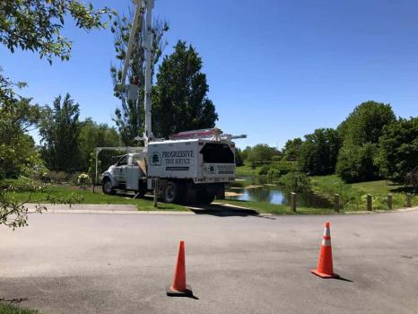 Image for Progressive Tree Service with ID of: 4255579