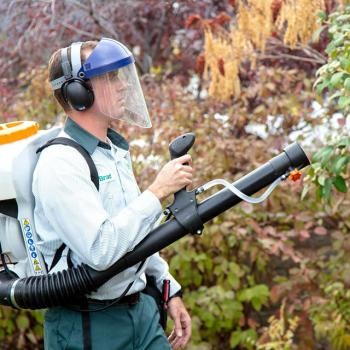 Image for Edge Pest Control and Mosquito Services with ID of: 4255589